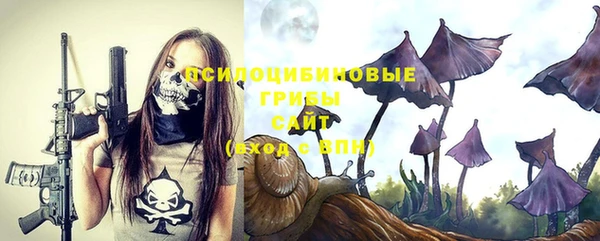 бутират Алексин