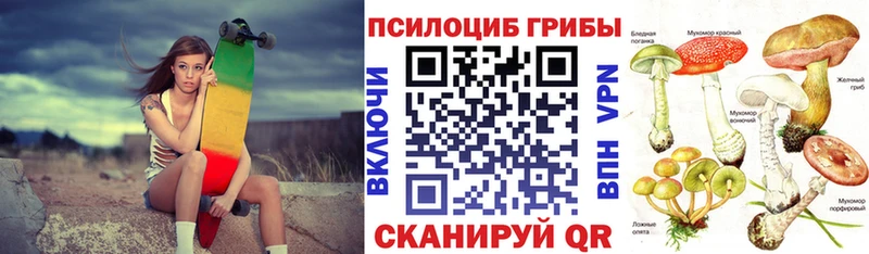 Псилоцибиновые грибы ЛСД  Алзамай 